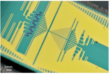 A large-scale integrated silicon-photonic quantum circuit for controlling multidimensional entanglement. 