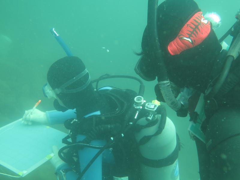 Hirokazu Tanaka und Kollege bei der Arbeit auf dem Grund des Tanganjikasees. 