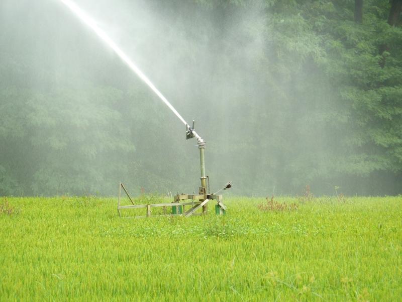 Bewässerung schützt Pflanzen und Landwirte vor meteorologischen Dürren und ist daher in Trockenregionen verbreitet. 