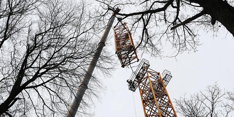 Auftakt zum 20 Jahre dauernden Waldexperiment: In Hölstein BL wird ein 50m hoher Baukran installiert. Er erlaubt es den Wissenschaftler, in den Baumkronen wissenschaftliche Experimente durchzuführen.