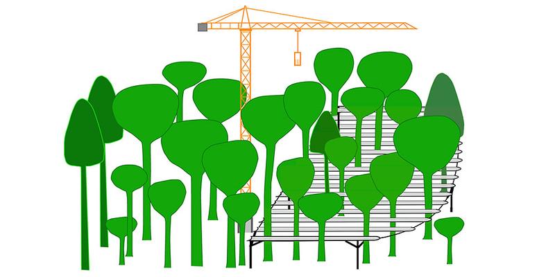 Versuchsaufbau: Auf einer ca. 100 m × 100 m grossen Waldfläche wird je eine Kontrollfläche und eine Trockensimulationsfläche angelegt.