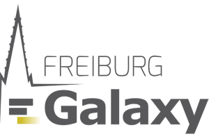Logo: Freiburg Galaxy