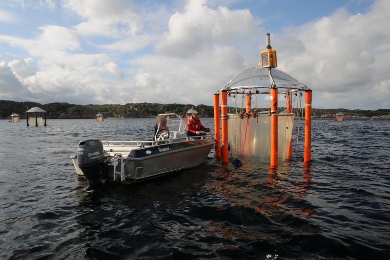 Die Kieler KOSMOS Offshore-Mesokosmen 2013 im schwedischen Gullmarsfjord. In den Versuchsanlagen wurde unter anderem die Reaktion von Heringslarven auf Ozeanversauerung getestet.