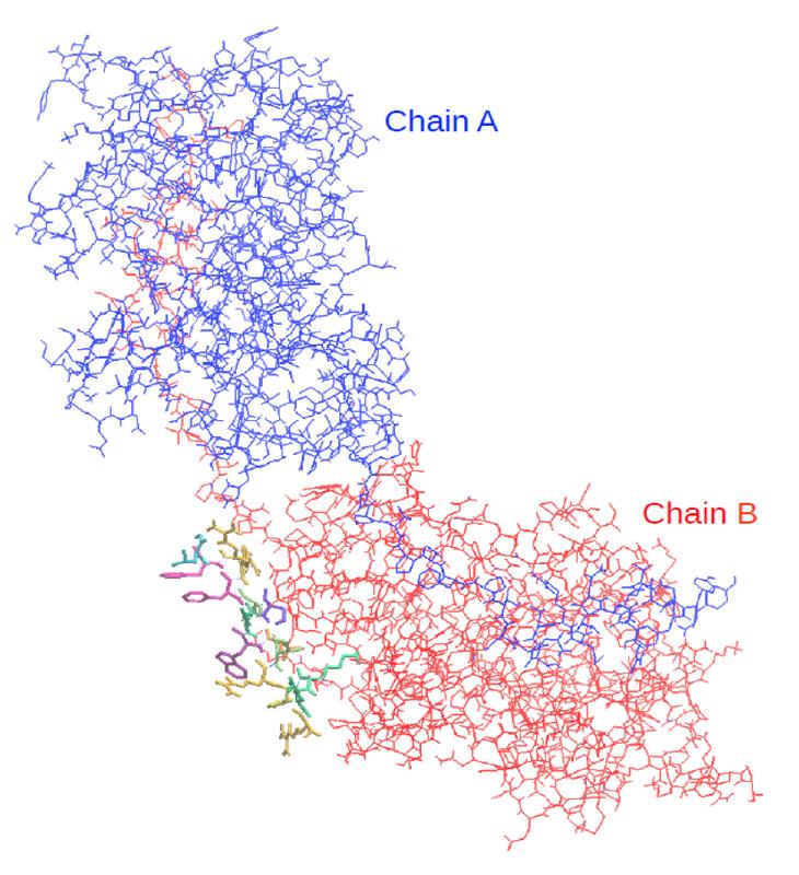 Proteinstruktur von der TRPM7 Kinase-Domäne