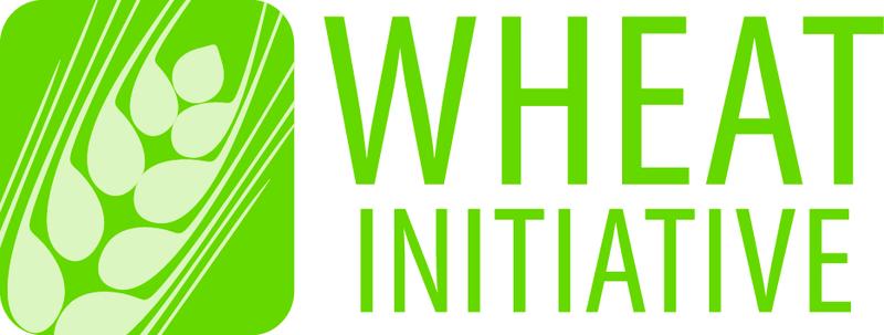 Logo der Wheat  Initiative