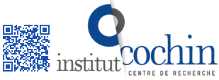 Institut Cochin