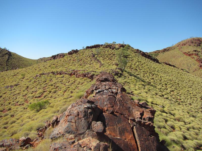 Das Pilbara-Kraton in Westaustralien. Göttinger Geobiologen haben in 3,5 Milliarden Jahre alten Gesteinen aus dieser Region die ältesten molekularen Fossilien der Erde gefunden.