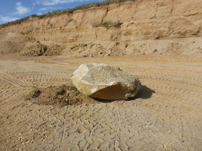 Ein Findling in der Kiesgrube Rehbach in Sachsen, der vor etwa 450.000 Jahren von Gletschern aus Skandinavien dorthin transportiert worden ist.