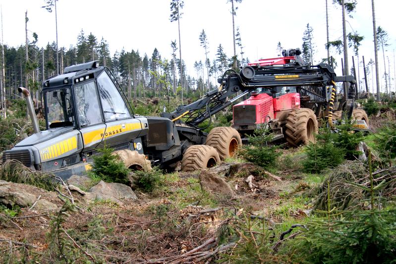 01: Salvage logging in the Bavarian Forest National Park according to the national park regulations. Here, trees infested by bark beetles are extracted in a future core zone.
