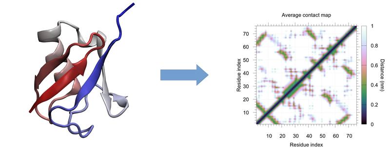 CONAN transforms the 3D structure of the protein ubiquitin into a 2D contact map. Left: Structure of ubiquitin, colored by residue index. Right: Inter-residue distance map computed by CONAN.