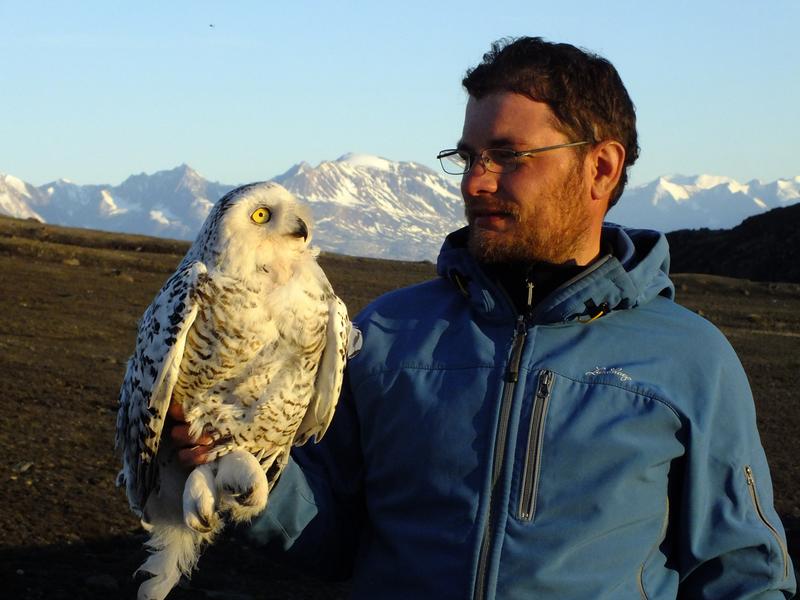 JLU-Biologe während eines Forschungsaufenthalts auf Grönland 