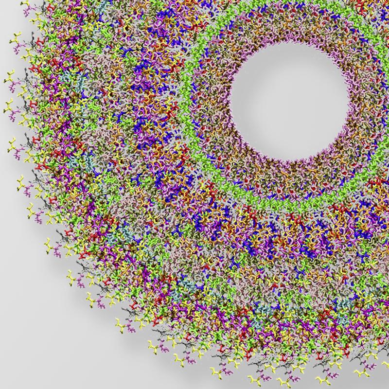 Auch winzige Objekte lassen sich detailiert abbilden: Hier das atomistische Modell des Tabakmosaikvirus.