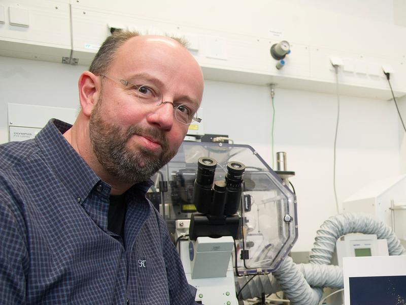 Prof. Dr. Jörg Höhfeld vom Institut für Zellbiologie der Universität Bonn. 