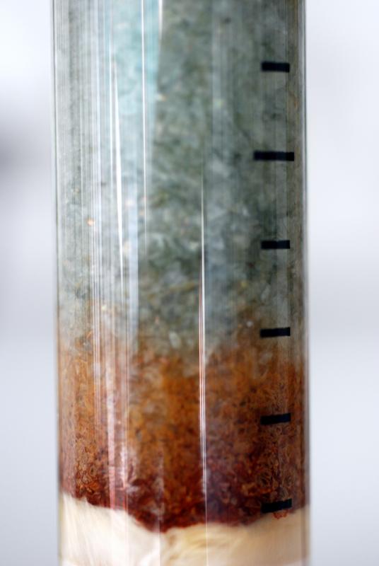 Laborexperiment: Eisensulfatlösung wurde durch ein mit Chitosanflocken (weiß) gefülltes Rohr gepumpt: Eisensulfatkristalle werden an Chitosan gebunden (grün, nach längerer Lufteinwirkung rostrot)  