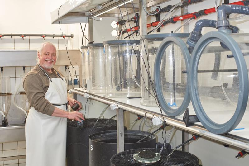 Jeden Morgen inspiziert Dr. Ronald Brunner die neue Anlage, prüft die Wasserwerte und Filter und füttert seine Schützlinge. 