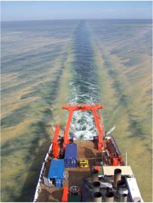 r/v METEOR passing a decaying blue-green algae bloom