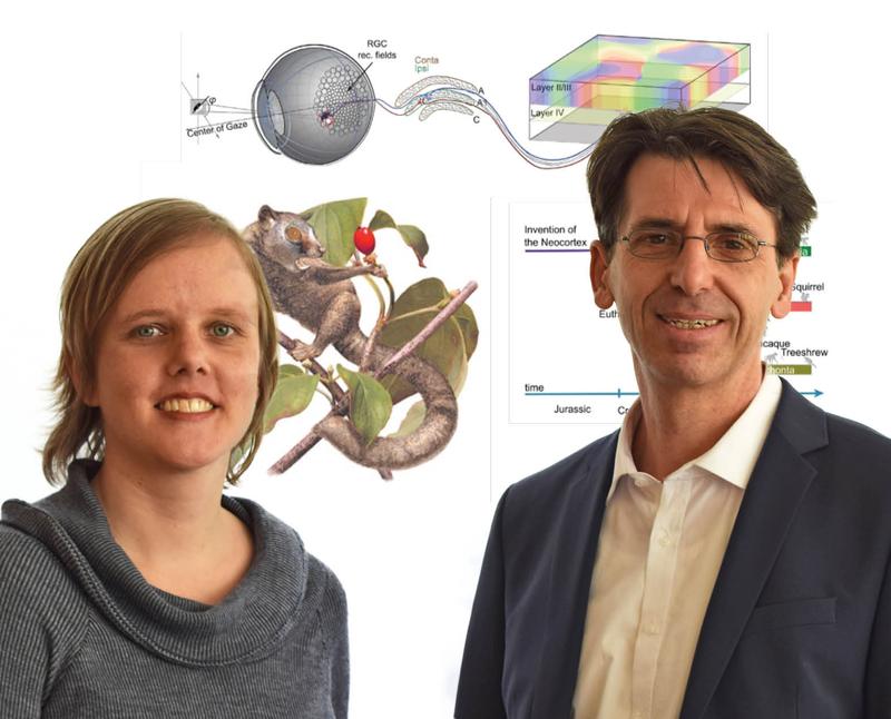 Marion Silies (li) und Fred Wolf (re) vom Bernstein Zentrum für Computational Neuroscience Göttingen