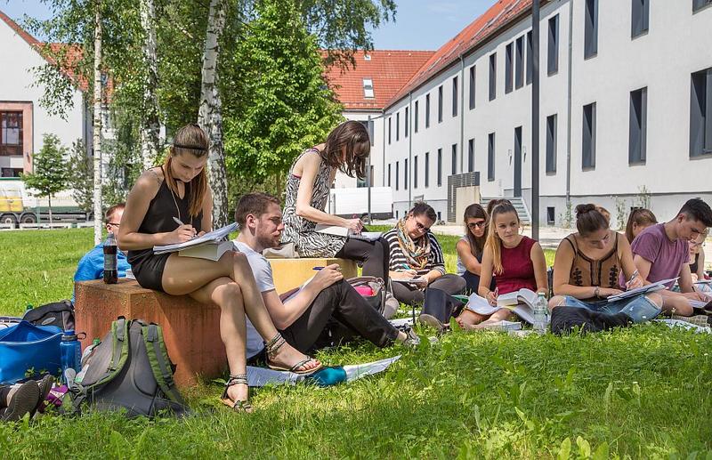 Studium an der WHZ bedeutet in vielen Studiengängen auch individuelle Betreuung in kleinen Gruppen - grünes Klassenzimmer inklusive.