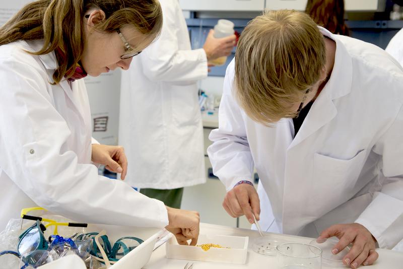 Sommerschule zum Thema "Qualitätssicherung in der Analytischen Chemie" - Exkurs in den Fachbereich Organische Spuren- und Lebensmittelanalytik an der BAM