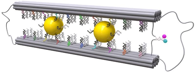 Illustration of the nano structure