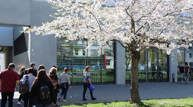 Blütenregen begleitet die Teilnehmenden an der Campusführung zum Hochschulinfotag an der Fachhochschule Erfurt.