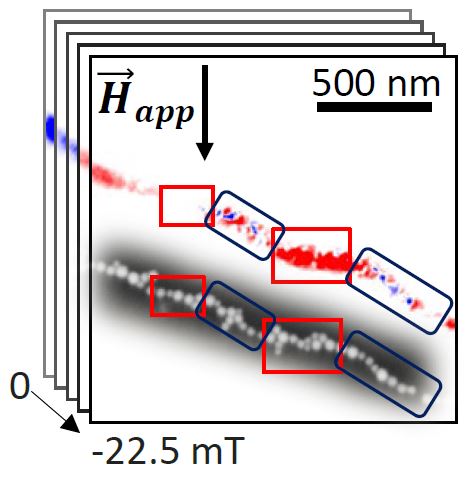 Messungen an BESSY II zeigten, wie sich unter einem äußeren Magnetfeld die Kettenglieder ausrichten. 