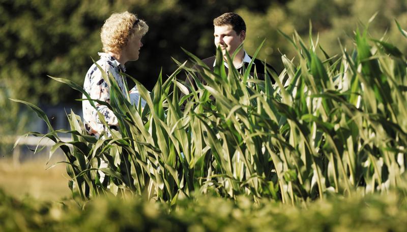 HSWT bietet neuen Masterstudiengang "Agrarmanagement" an