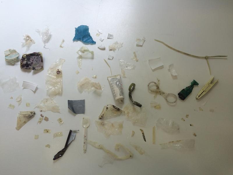 Unterschiedlichstes Plastikmaterial, das an der Oberfläche treibend in der Adria aufgesammelt wurde.