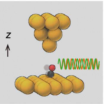 The probe tip of a scanning probe microscope alters the vibrational frequency of the molecule and allows to determine the strength of the bonds.