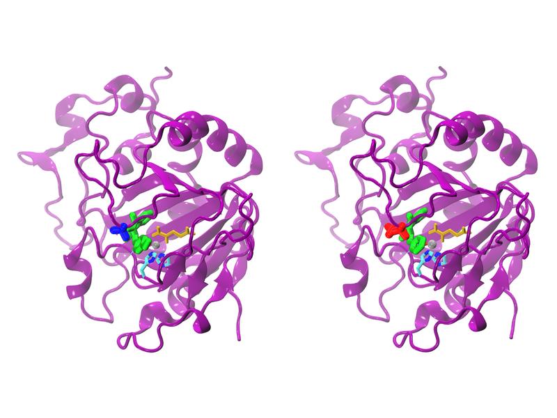 Natural (left) and modified AsqJ. While a valine is incorporated at position 72 in the natural (blue) enzyme, the modified form possesses an isoleucine (red) at position 72.