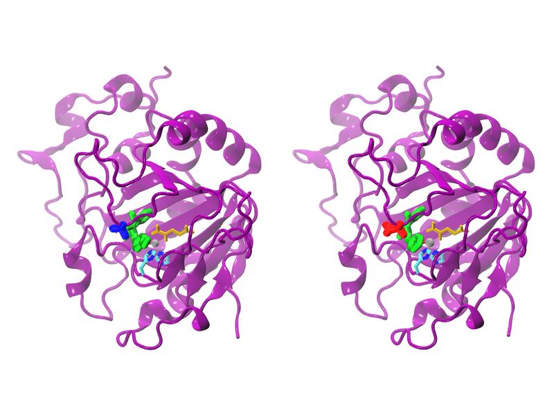 Natural (left) and modified AsqJ. While a valine is incorporated at position 72 in the natural (blue) enzyme, the modified form possesses an isoleucine (red) at position 72.