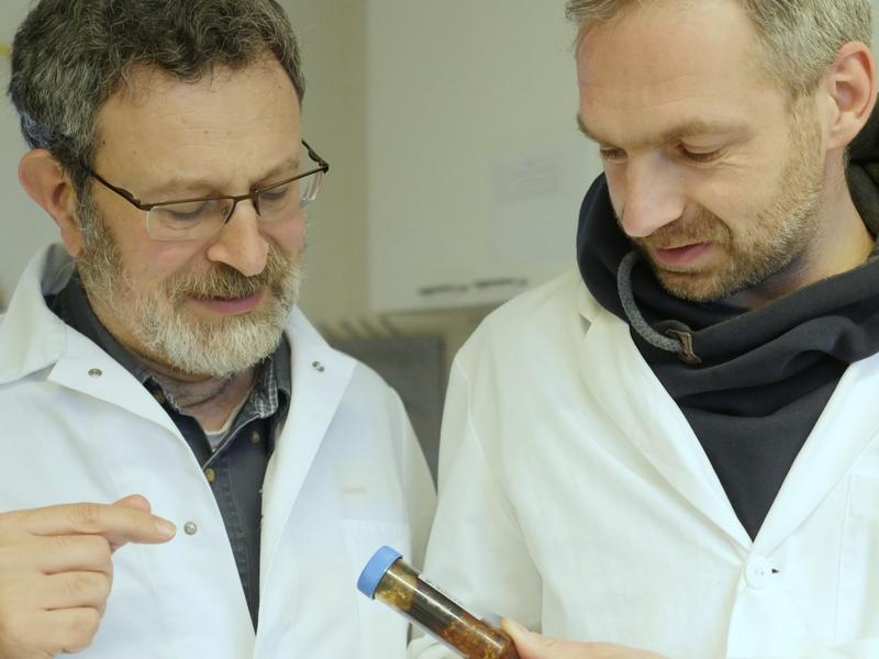 Prof. Dr. Andreas Teske (l.) und Dr. Helge-Ansgar Giebel mit einer Öl-Meerwasser-Probe des Deepwater-Horizon-Unfalls, aus der Tritonibacter isoliert wurde.