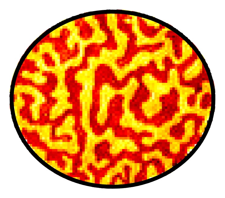 Mittels Beugungsmuster algorithmisch rekonstruiertes Bild der magnetischen Domänenstruktur der Probe. 