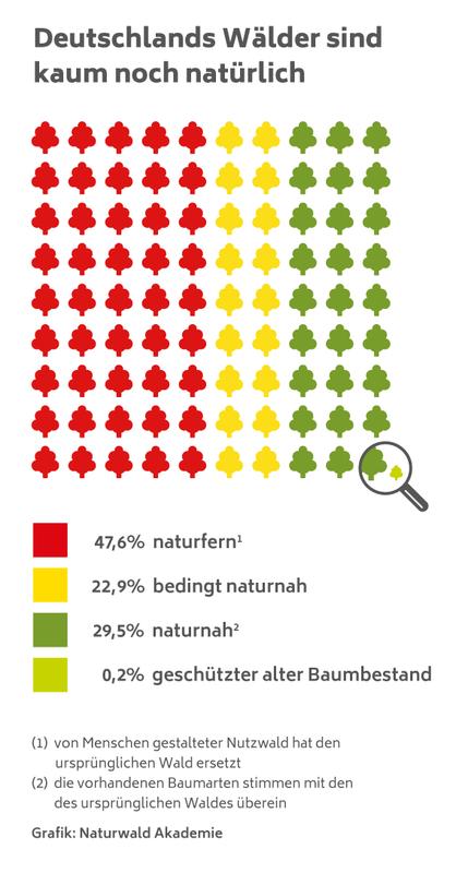 Übersicht, wie naturnah die Wälder in Deutschland noch sind