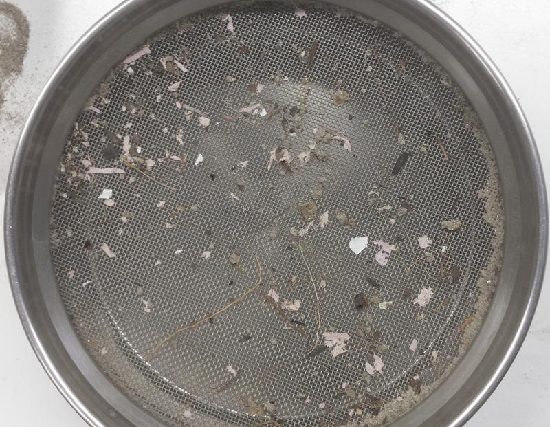 Large microplastics (1-5mm), mineral particles and plant remains from a floodplain soil of the river Maggia in the Canton of Ticino (Italian speaking part of Switzerland). 