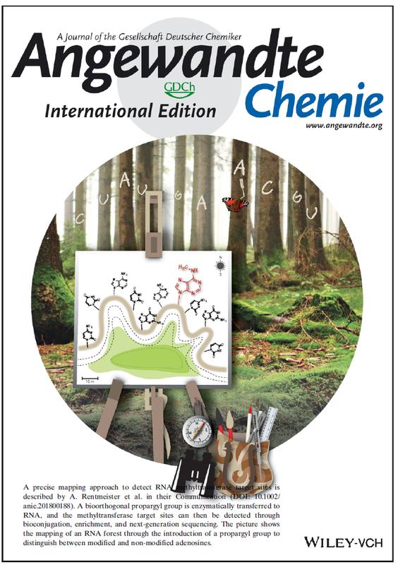 Die Studie inspirierte die Zeitschrift „Angewandte Chemie“ (International Edition) zu einem Cover-Bild.