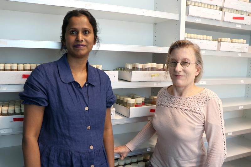 Erstautorin Aparna Ratheesh und Gruppenleiterin Prof. Daria Siekhaus im Labor