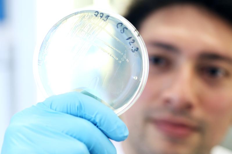 Using the example of the pathogen Pseudomonas aeruginosa, Dr Camilo Barbosa has developed a model for the optimisation of antibiotic combinations. 