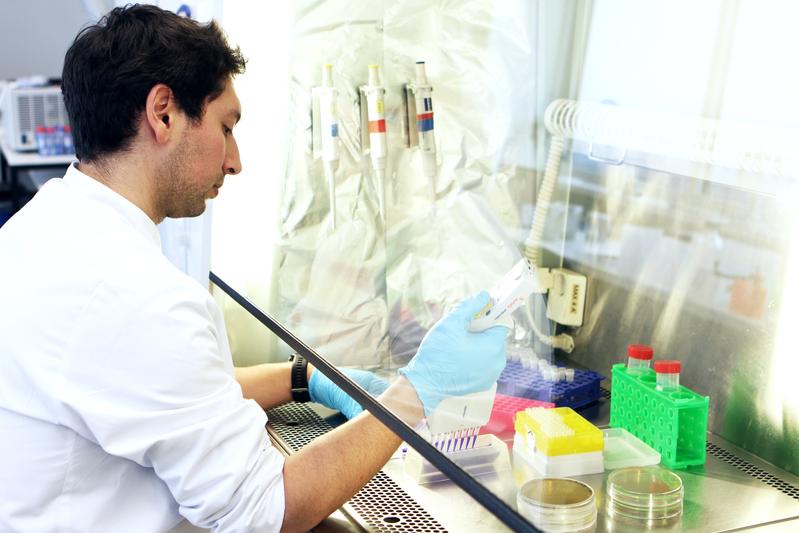 In the laboratory, the research team exposed the pathogen to 39 different combinations of antibiotic substances. 