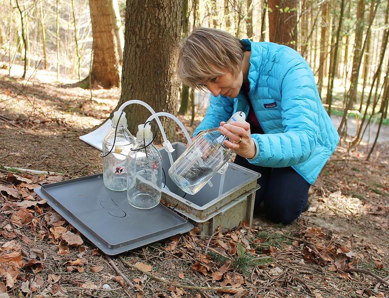 Elisabeth Graf Pannatier (WSL) liest die Menge des gesammelten Bodenwassers ab, dessen Gehalt an Sulfat, Nitrat, Kalzium, Magnesium und Aluminium im Labor analysiert wird.