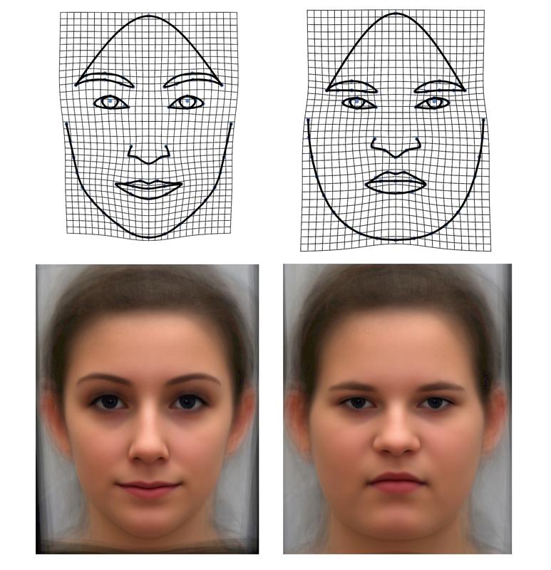 Körperfett verändert die Gesichtsform. Das wurde berechnet und hier anhand sogenannter Deformationsgitter (obere Reihe) und GM-Morphs (untere Reihe) veranschaulicht.