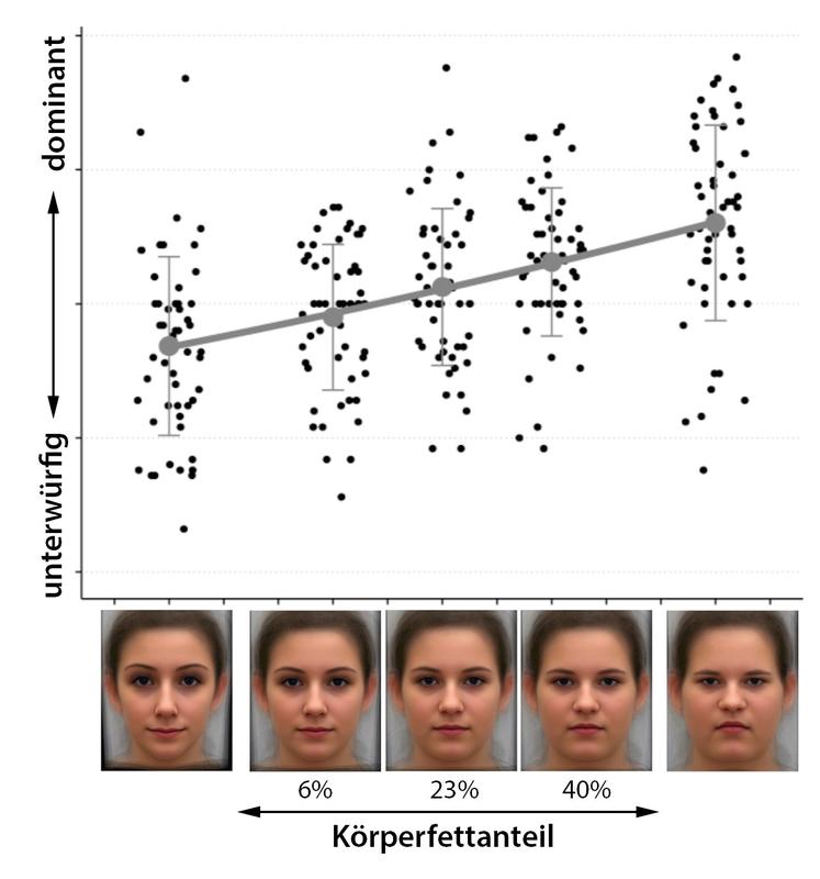 GM-Morphs erlauben neue Wege in der Gesichterforschung, da sie als kalibrierte Stimuli eingesetzt werden können.