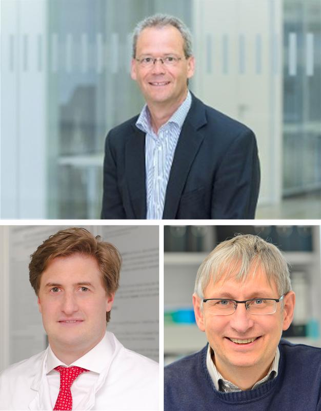 Prof. Dr. Jens Hohlfeld (oben), Prof. Dr. Jens Vogel-Claussen (unten links) und Prof. Dr. Tobias Welte (unten rechts)