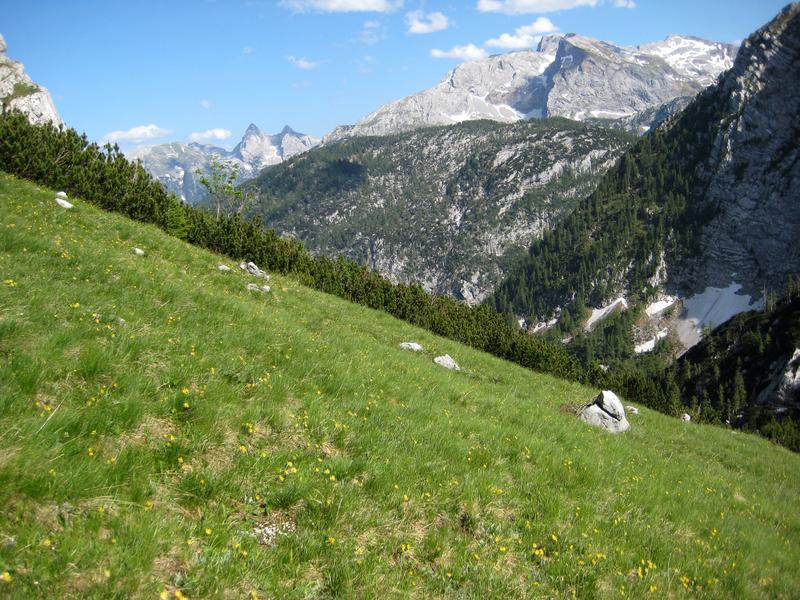 Höhengradienten, hier im Nationalpark Berchtesgaden, sind wichtige Labore der Klimafolgenforschung.