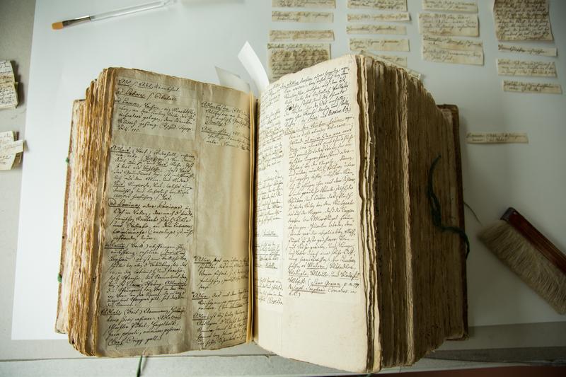 Das «Deutsche Glossar» besteht aus etwa 100'000 handschriftlichen Zetteln. Basler Forscher wollen das grösste deutsche Wörterbuch des 18. Jahrhunderts nun erstmals zugänglich machen.