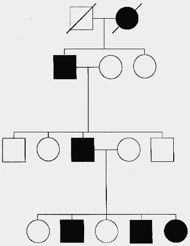 Das Auftreten von Familienmitgliedern mit Legasthenie (schwarz ausgefüllte Quadrate) über vier Generationen. Ein solcher Stammbaum spricht für einen autosomal dominanten Erbgang.
