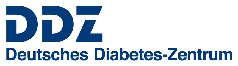 DDZ Logo