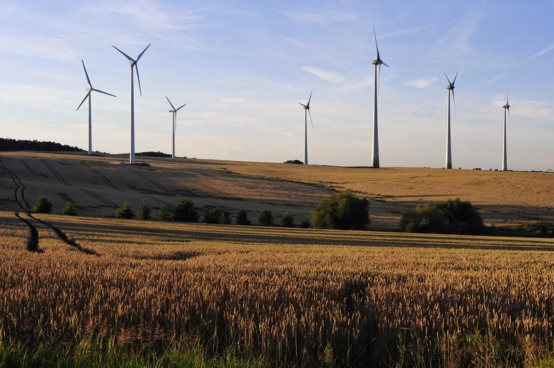 Durch oft an eher abgelegenen Orten verfügbare erneuerbare Energiequellen mit zeitlich stark schwankender Leistungsabgabe kommen Stromnetze heute zunehmend an den Grenzen ihrer Belastbarkeit.