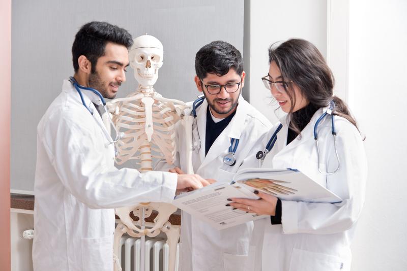 Das Medical Preparatory Year hilft bei der Vorbereitung auf das Medizinstudium.