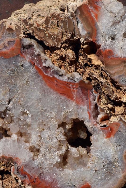 Schönes aus der neuen Ausstellung in der Mineralogischen Sammlung der Uni Jena: ein Carneol – der Schmuckstein wurde in der Nähe von Jena gefunden.